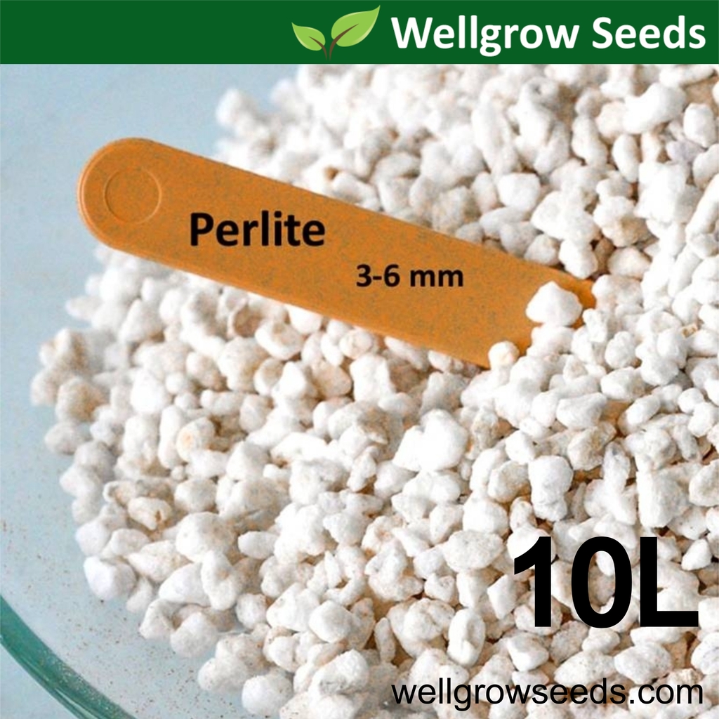 Perlite (10L) 珍珠岩 3-6mm For Cactus & Succulents (Natural ...