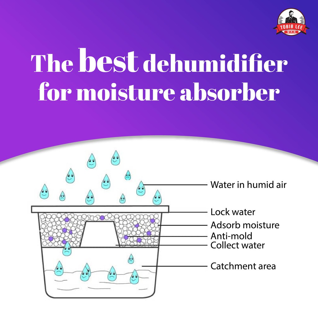 Ready Stock Lavender Dehumidifer Tobib Lee Perfect With Moisture Absorber Solution Of Damp Best Dehumidifier Shopee Malaysia