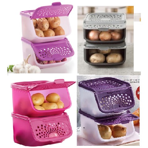 Tupperware NEW SIZE Garlic N All Keeper 2.3L / 3L / 5.5L - 1pc