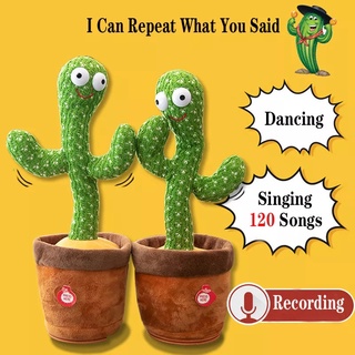 Cactus Dance and Talking Recording Toy 
