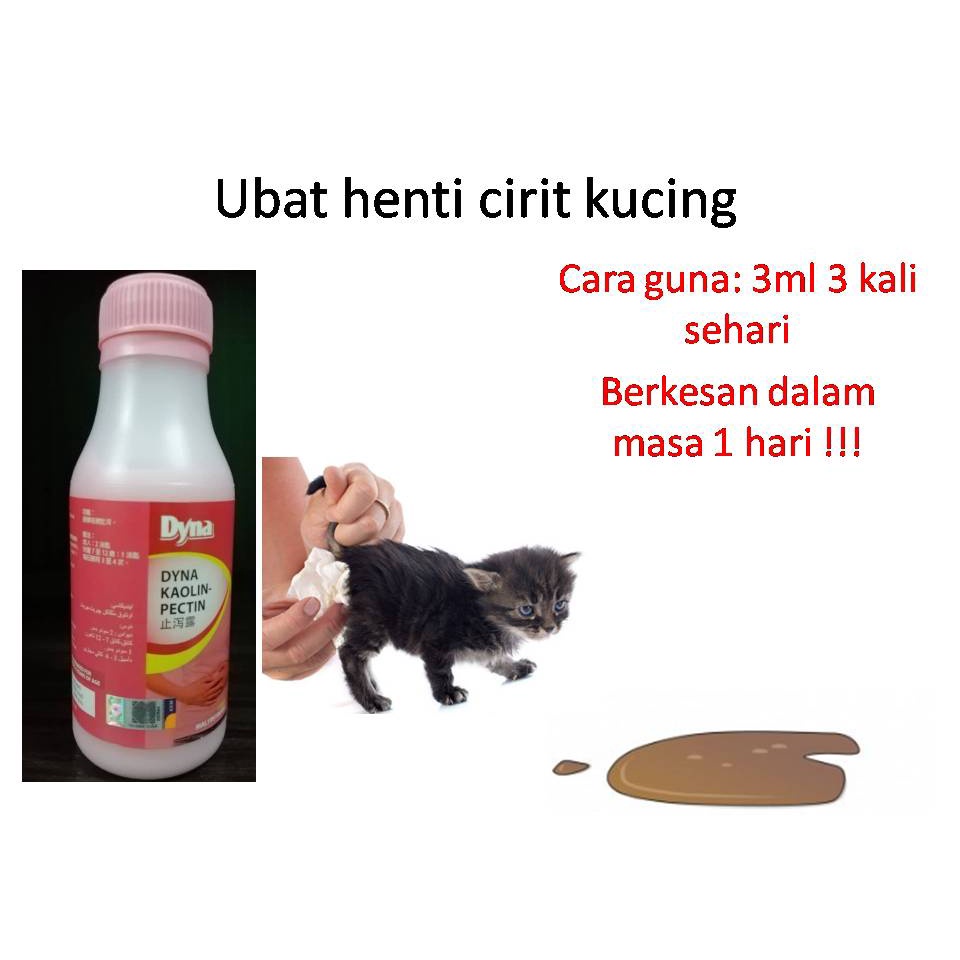 ubat henti cirit kucing 1 botol  Shopee Malaysia