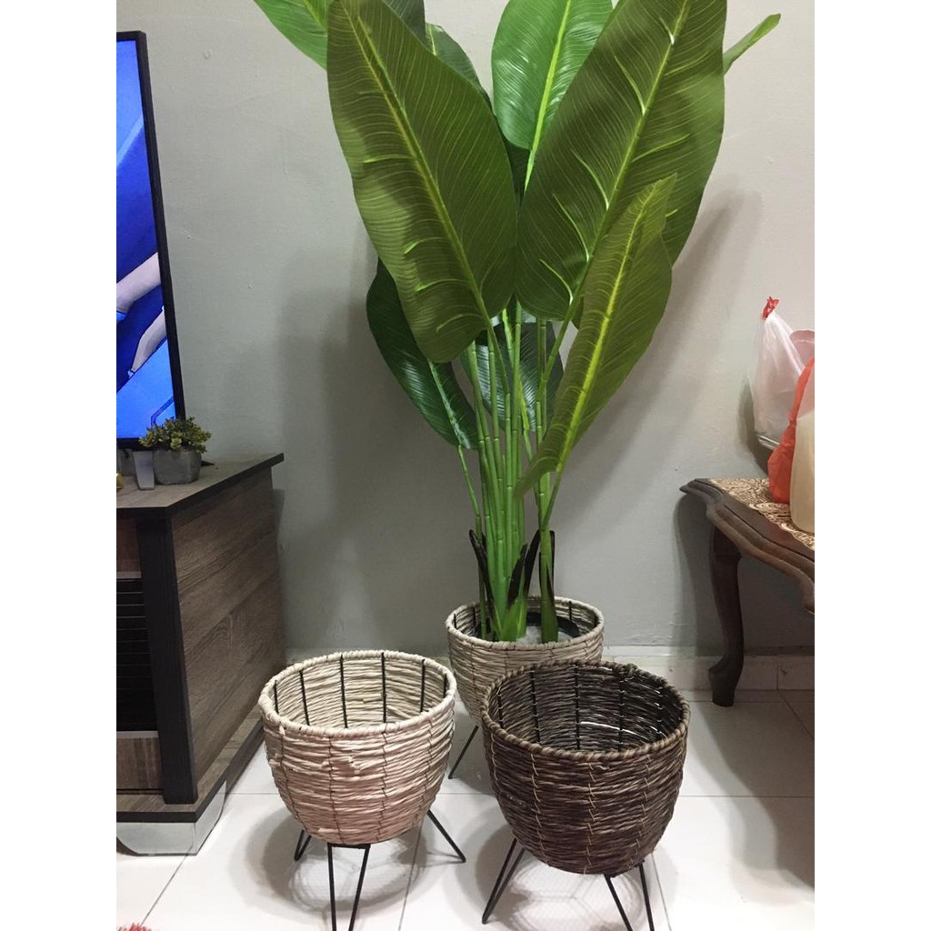 READY STOCK!!! pasu bakul rotan kaki besi pokok viral | Shopee Malaysia