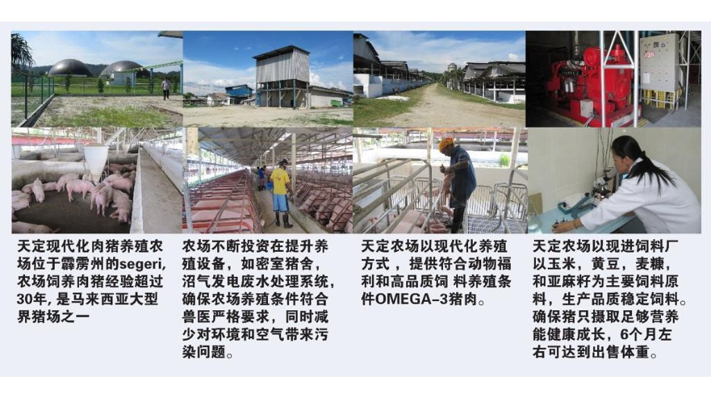 DD Fresh Meat Online Shop 天定鲜肉店, Online Shop Shopee Malaysia