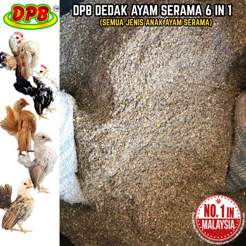 5kg Dpb Dedak Anak Ayam Serama 6 In 1 Campuran Dedak Goldcoin Bijian Dan Vitamin Shopee Malaysia