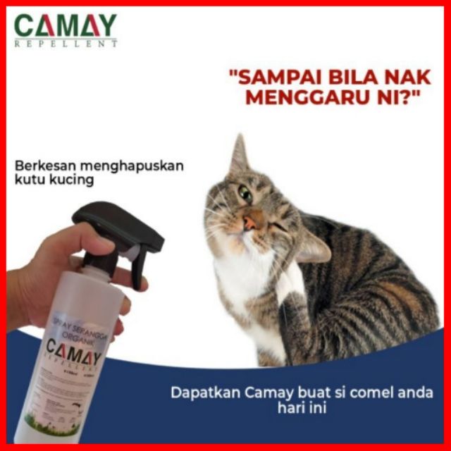 Cat Flea Lice Spray/ Spray Kutu Kucing/ Ubat Kutu  Shopee 
