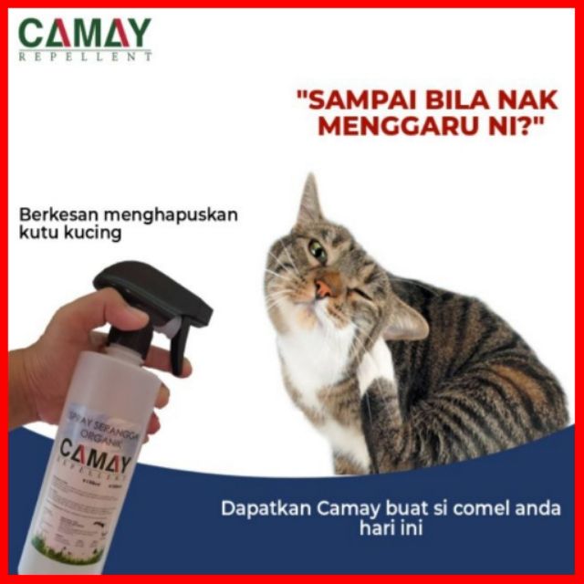 Ubat Kutu Kucing Shopee - Quotes Diary b