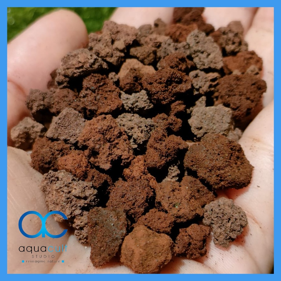 Small Red Lava Rock (Aquarium/Paludarium/Decoration/Rocks) | Shopee ...