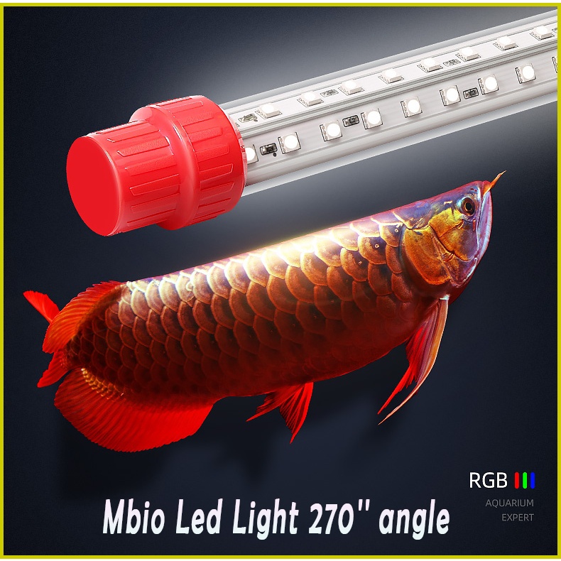 Mbio Led Light Arowana goldfish Cichlid Red Parrot Fish Ikan Aquarium Tank Light Fish Body Color