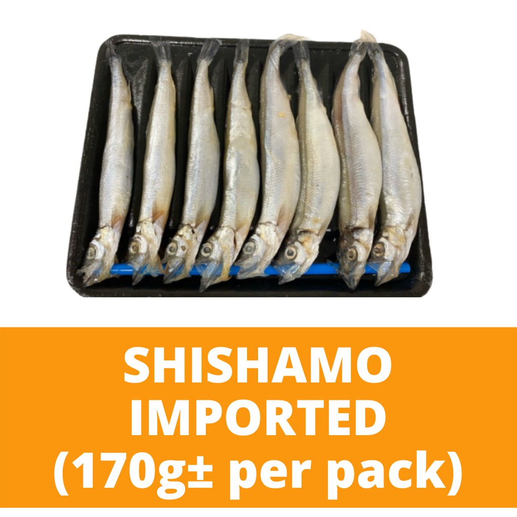 Shishamo Imported 8 Pcs 170g 多春鱼sung Tao Frozen Seafood Japanese Pregnant Fish Ikan Capelin