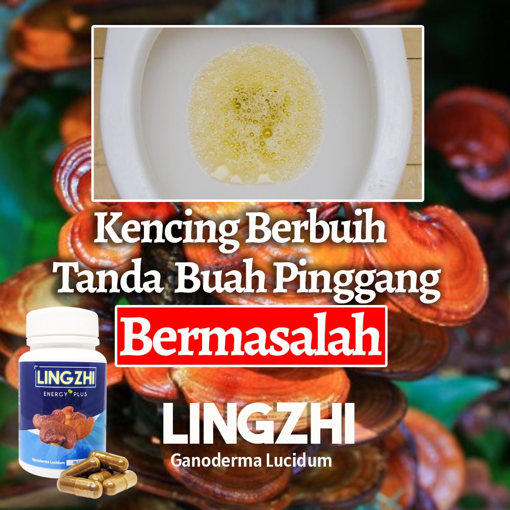 ubat gastrik tradisional cina