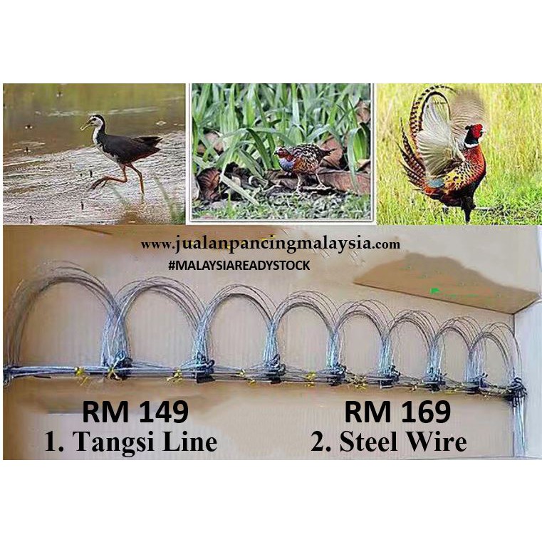 Rack Rack Jerat Burung Wak Wak Ayam Hutan Shopee Malaysia