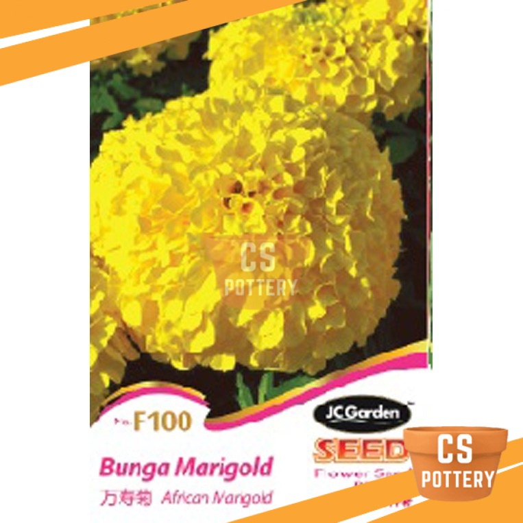 CS POTTERY F100 BUNGA MARIGOLD AFRICAN MARIGOLD JC GARDEN FLOWER SEED BIJI BENIH 万寿菊种子