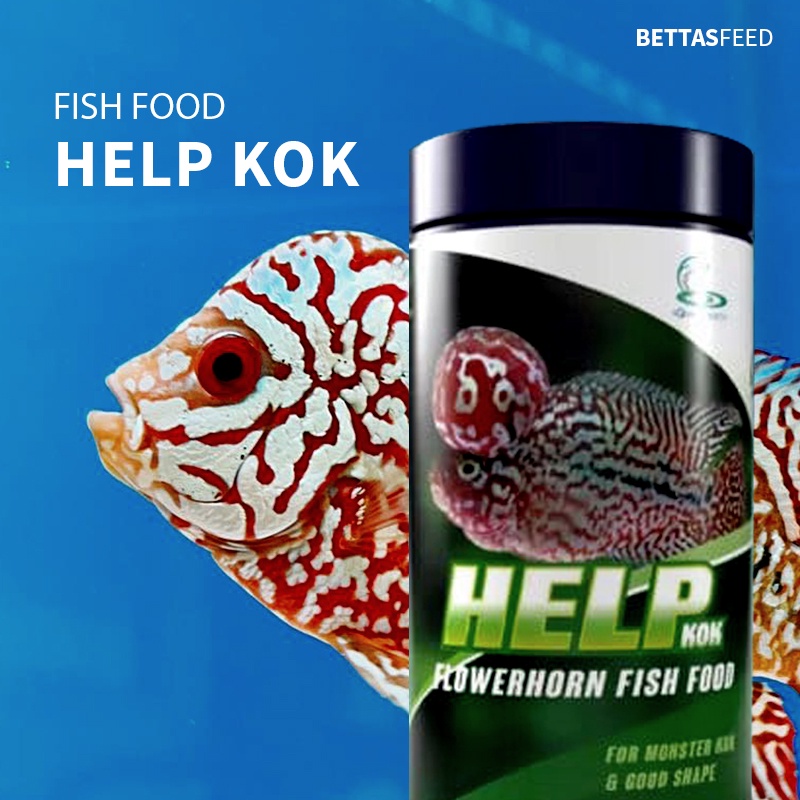 CZ Aqua Products HELP KOK Flowerhorn Kamfa Fish Food for Big Head Kok Grooming Shopee Malaysia