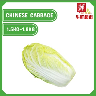 Buy Bitter Gourd Peria Besar 苦瓜 400 600grams Fresh Daily Pick Vegetable Seetracker Malaysia