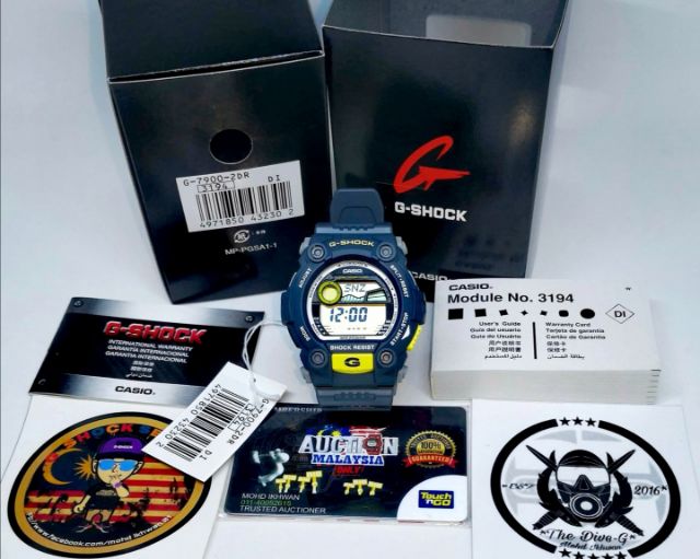 casio module 3194