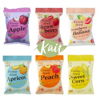 WEL B Freeze Dried Fruits (14g) | Shopee Malaysia