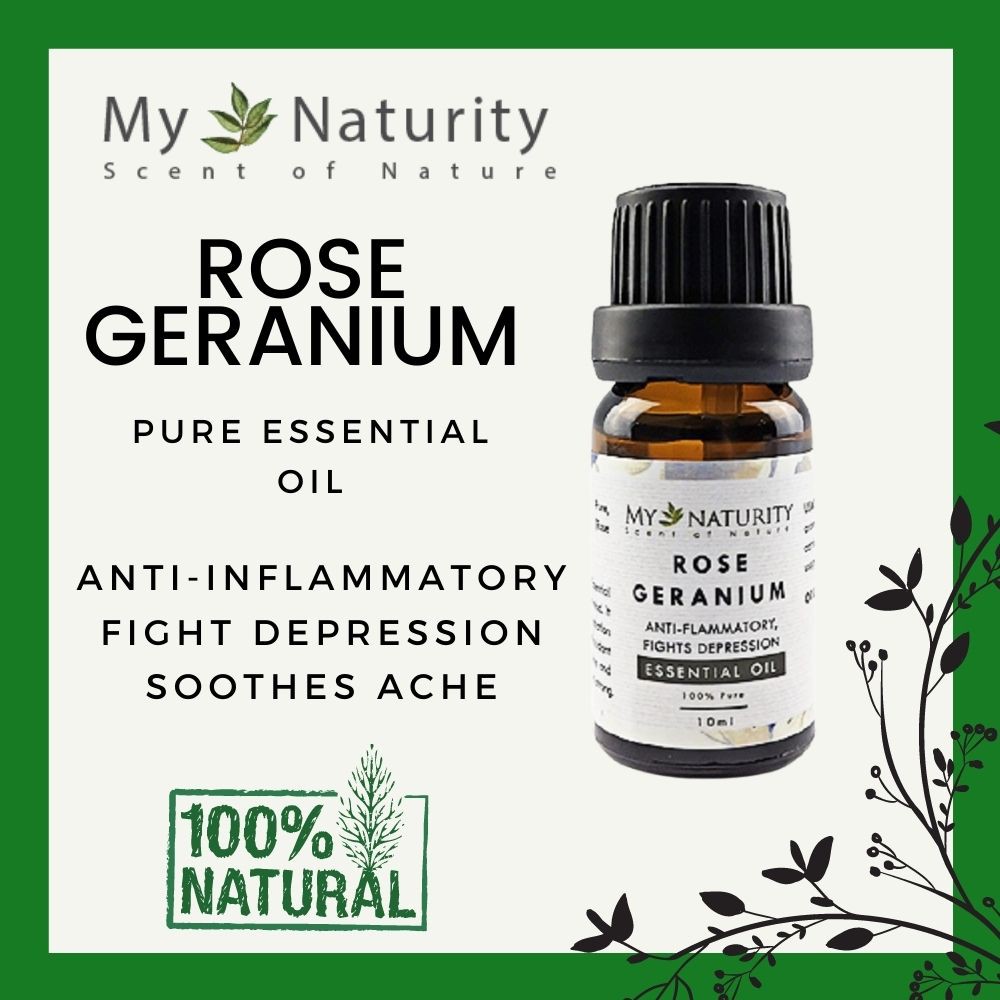 My Naturity Pure Rose Geranium Essential Oil Certified Organic For Antioxidant Anti Aging Anti Anxiety Shopee Malaysia