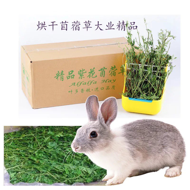 Rabbit Supplies 紫花苜蓿草烘干苜蓿草1kg 箱幼兔兔粮饲料牧草干草兔子龙猫荷兰猪 Shopee Malaysia