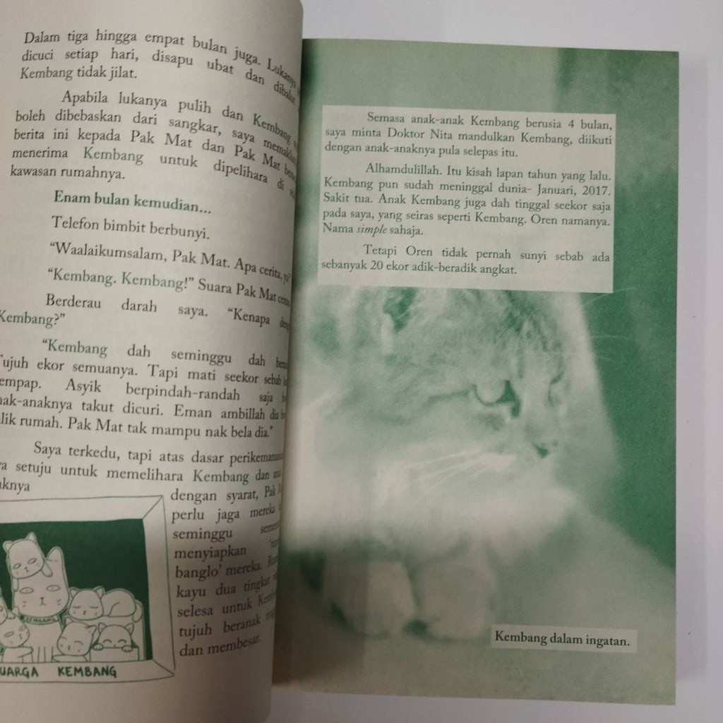 Kitab Para Ku-cheng Katapilar Books  Buku pasal kucing  Shopee 