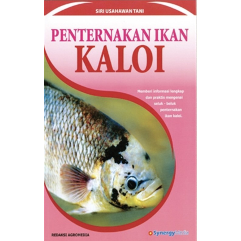 Harga Ikan Kaloi Merah