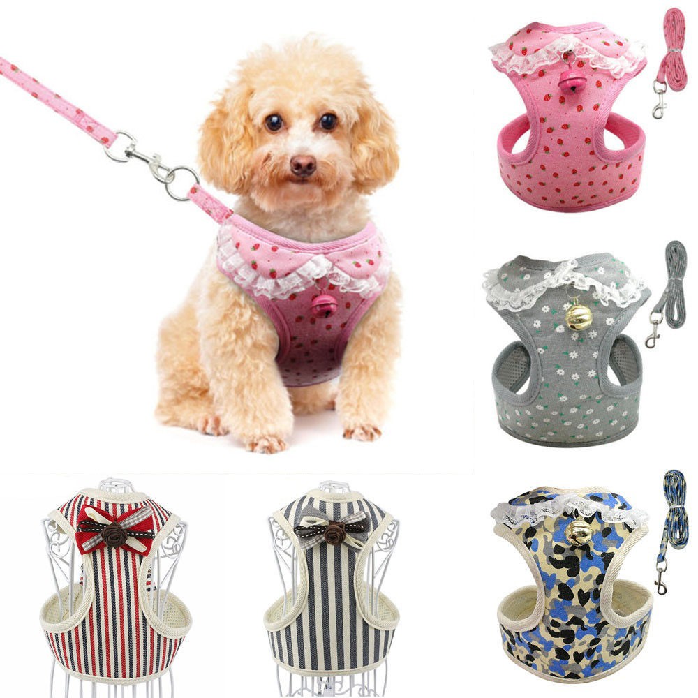 dog harness and leash set