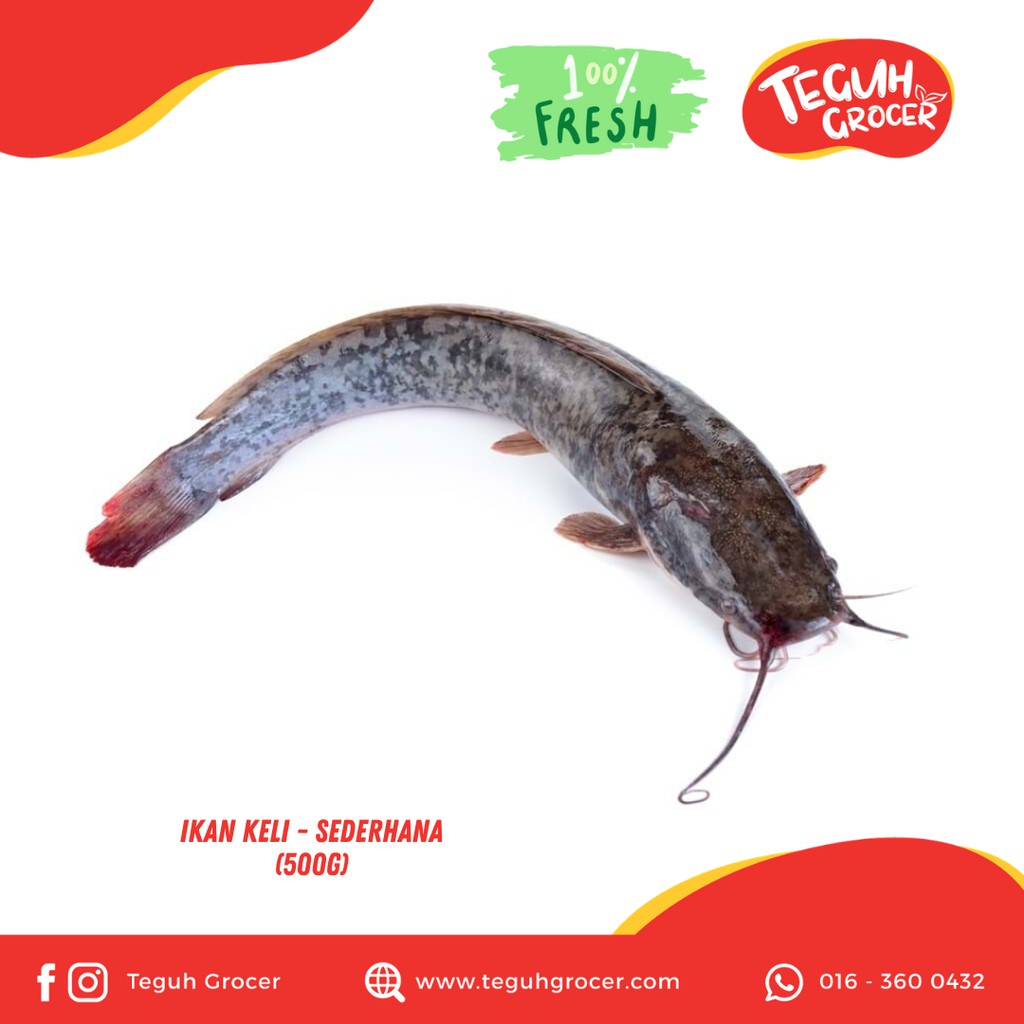 Ikan Keli Sederhana 500g Shopee Malaysia