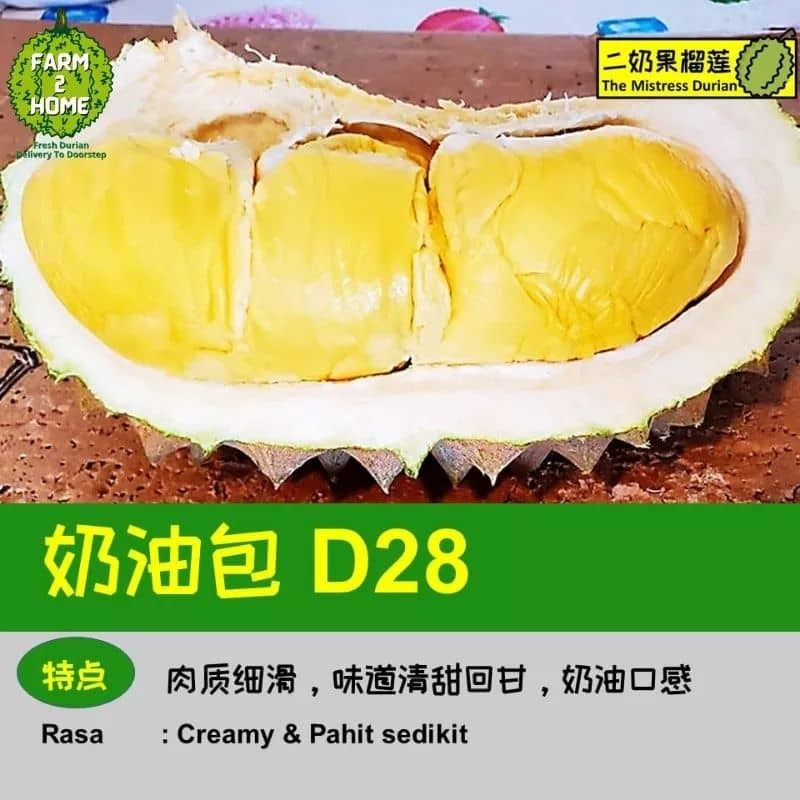 d28 durian