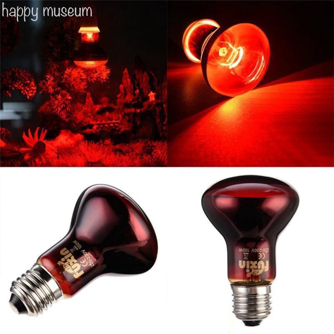 LED Red Reptile Night Light UVA Infrared Heat Lamp Bulb for Snake Lizard Reptile Shopee Malaysia