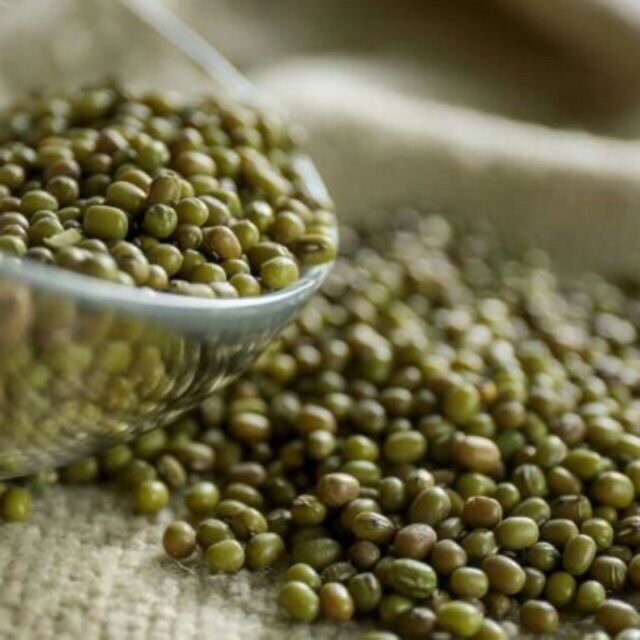 KACANG HIJAU / GREEN BEAN / BUBUR KACANG