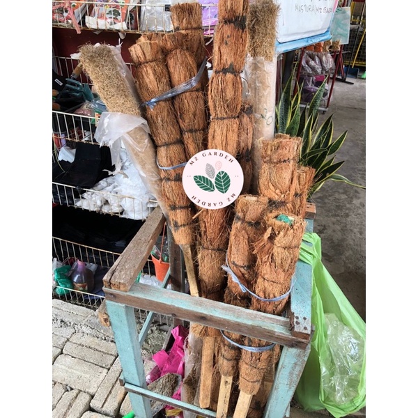 COCO STICK/Batang Menjalar (Support Climbing Plant) | Shopee Malaysia