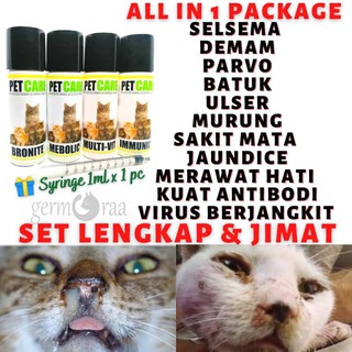 Kucing Selsema Teruk