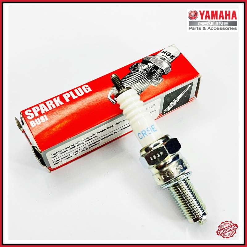 r25 spark plug