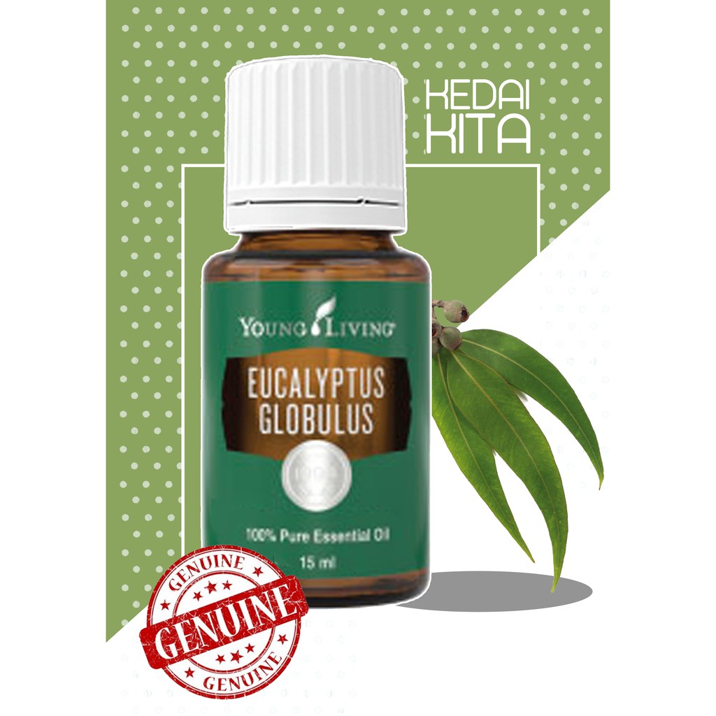 Young Living Yl Eucalyptus Globulus Essential Oil 15ml Shopee Malaysia