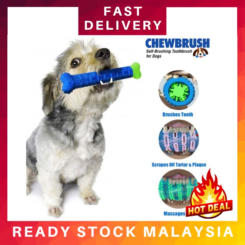 what-toys-are-bad-for-dogs