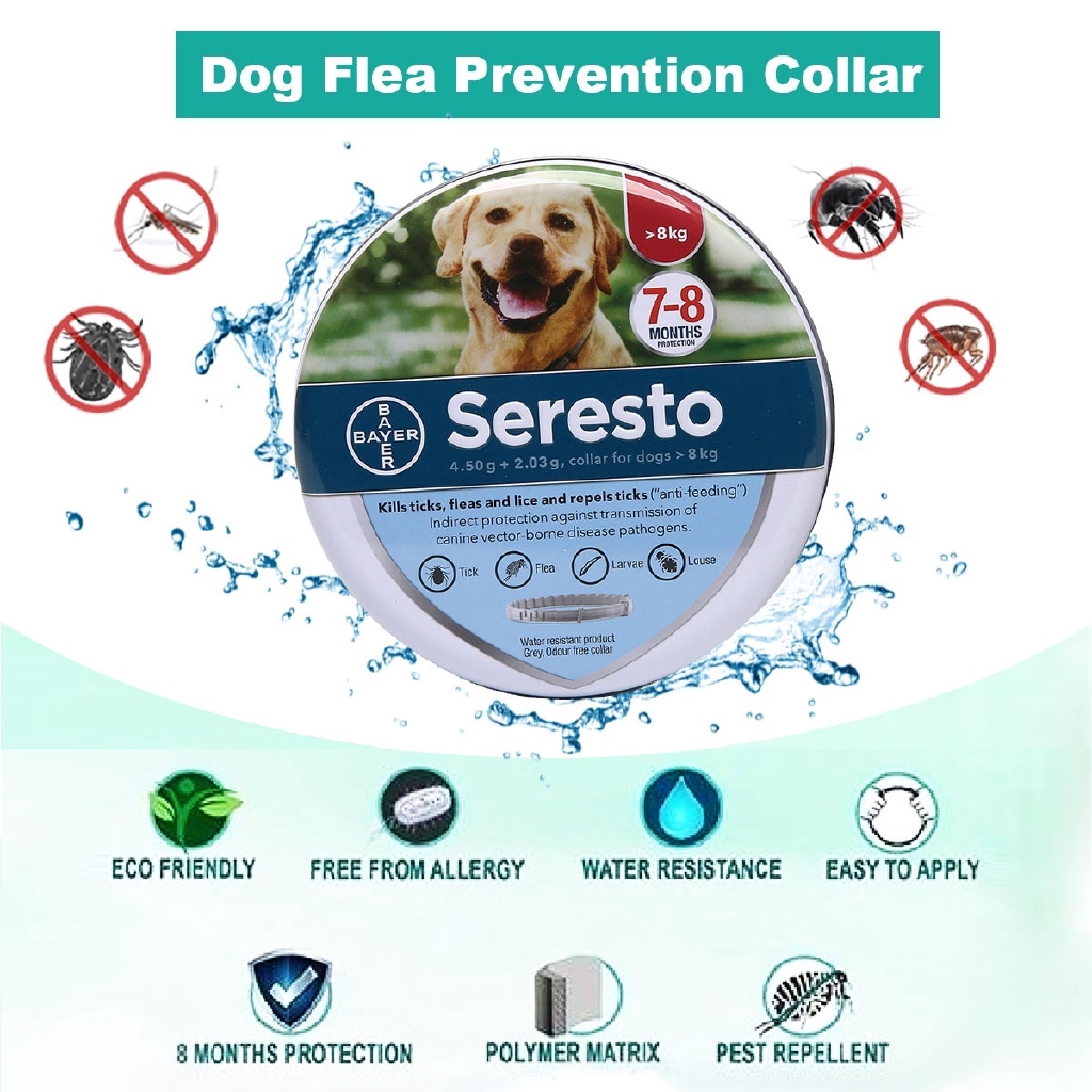 safe tick and flea control for dogs