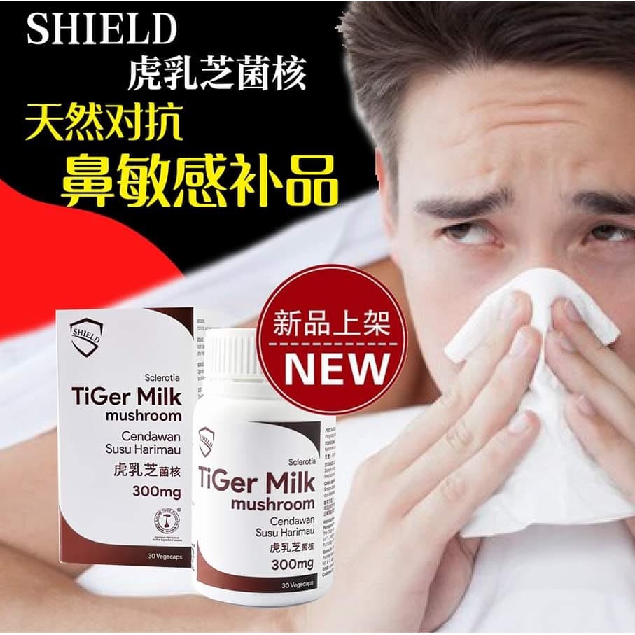 Tigerus 虎乳芝 Tiger Milk KING 老虎奶虎乳芝保健饮 /HT Care 虎乳芝菌核/ SHIELD Tiger Milk