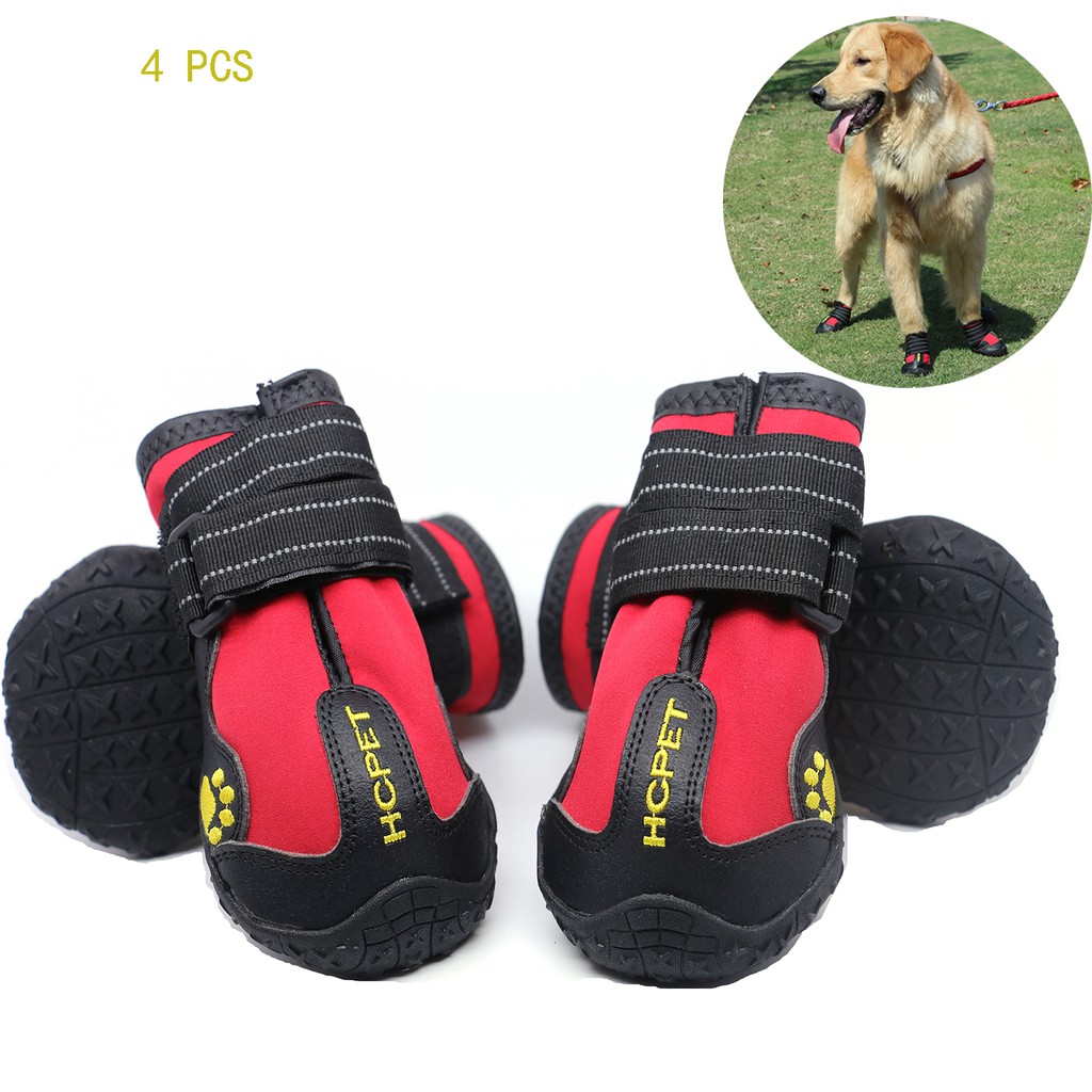 dog shoes medium