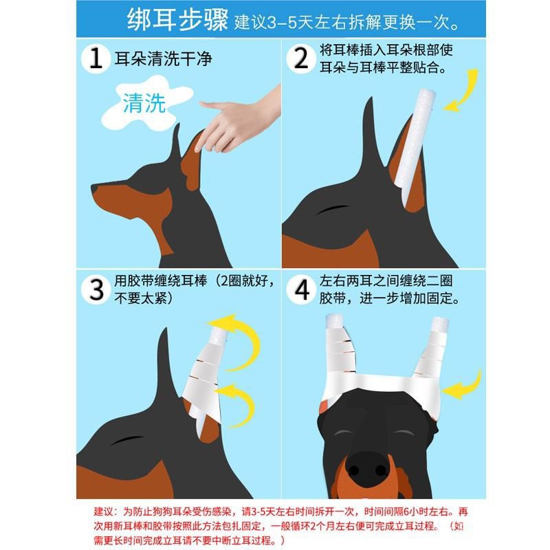 Pet Supplies Cats Dogs Kucing 立耳器狗耳朵小型犬宠物小狗狗耳朵矫正耳贴耳托立耳贴套竖耳耳距 Shopee Malaysia