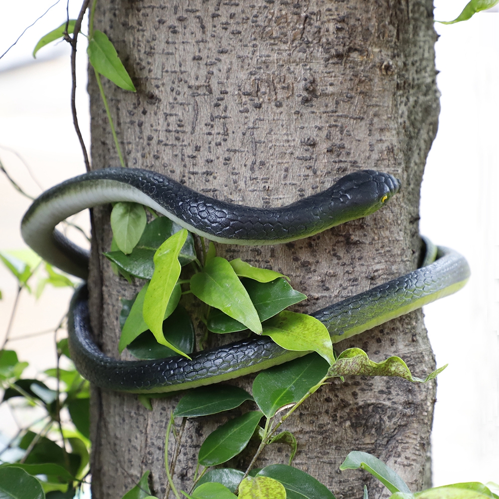 realistic rubber snake