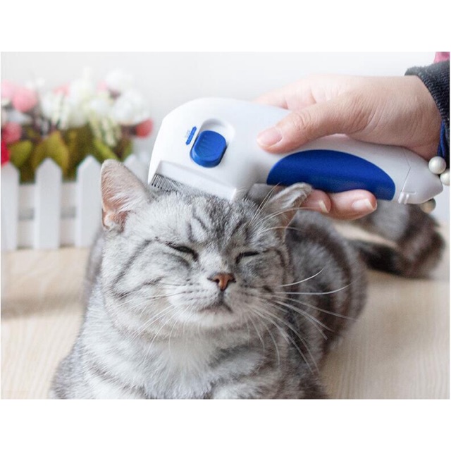 Cat Pet Comb Pet Brush Fur Flea Doctor Dogs Cats Kills & Stuns Fleas