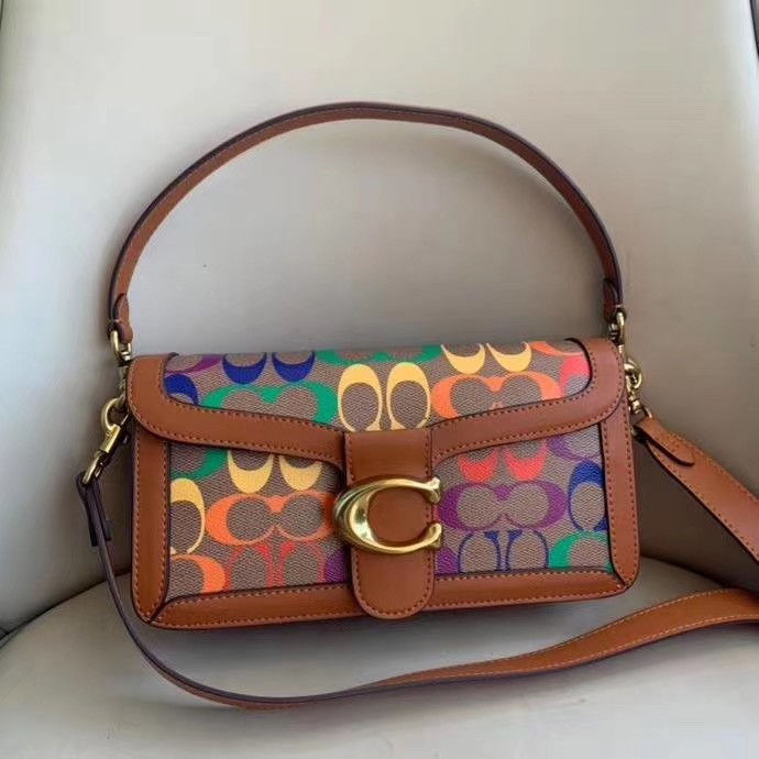 coach rainbow tote