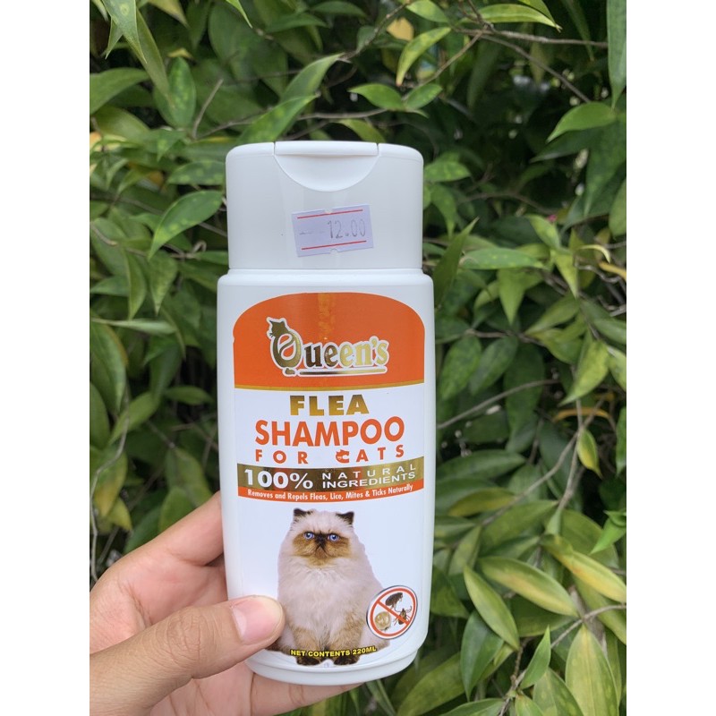 Shampo kucing anti kutu