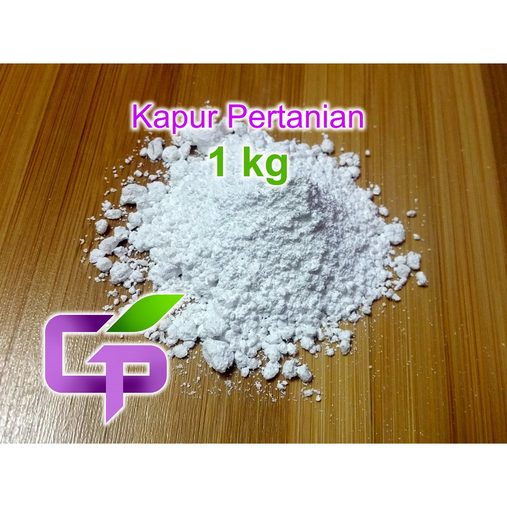 Kapur Pertanian In English