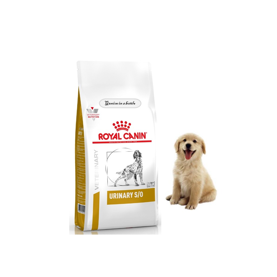 royal canin urinary dry dog food
