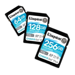 Карта памяти sdxc kingston canvas go plus 64 гб sdg3 64gb