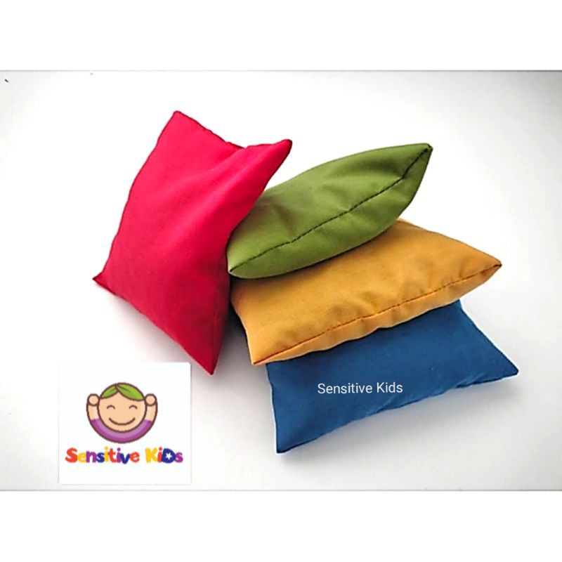 Bean Bag Gross Motor Skill Autism ASD Occupational Therapy Price For