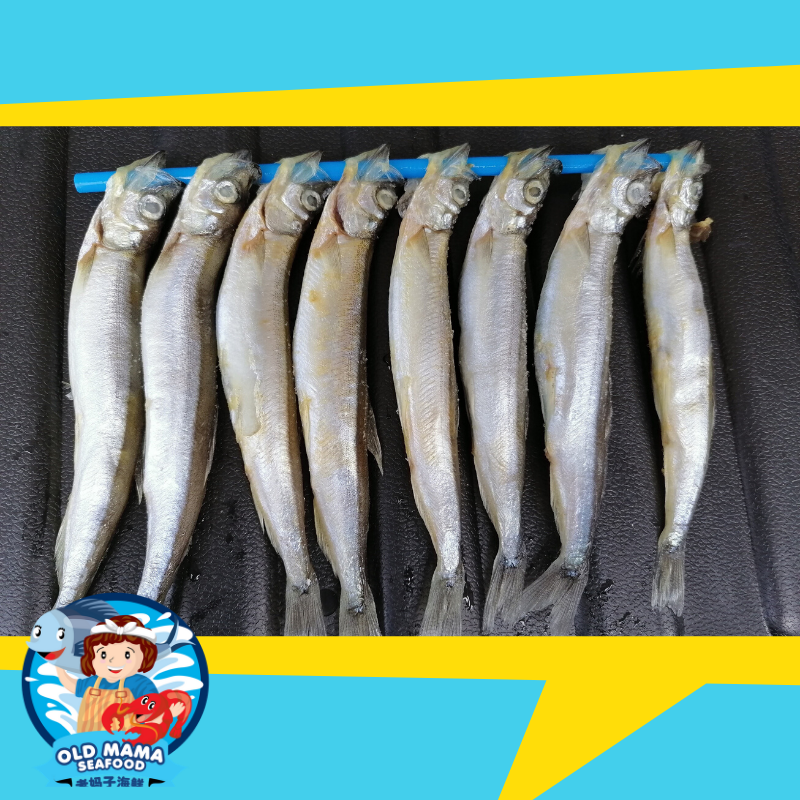 Shishamo Fish 多春鱼 150gm Pkt Shisamo Sisamo Japan Food Fresh Grill Ikan Kl Selangor Old Mama Seafood Shopee Malaysia