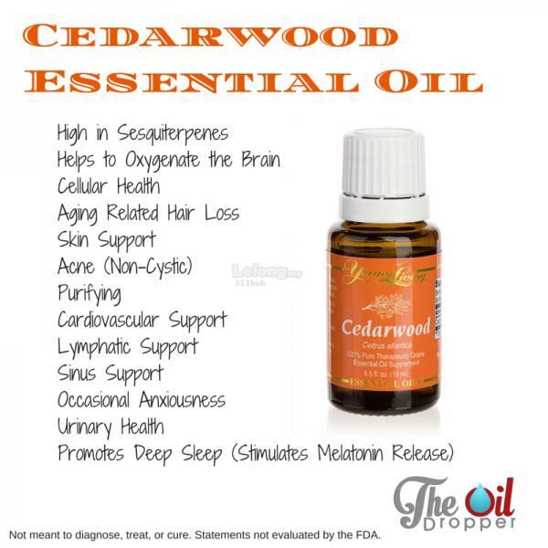 Young Living Cedarwood Essential Oil 2ml 5ml Original Shopee Malaysia