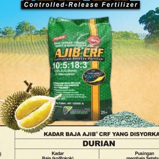 Baja Sesuai Untuk Pokok Durian - HeidyabbMercado