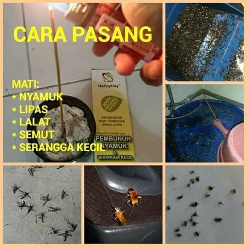 Ubat Nyamuk Batang Lidi Viral Jauhi Denggi Mosquito Killer Sticks Pembunuh Nyamuk Serangga Shopee Malaysia